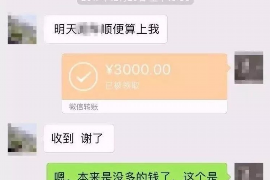 电白如何避免债务纠纷？专业追讨公司教您应对之策